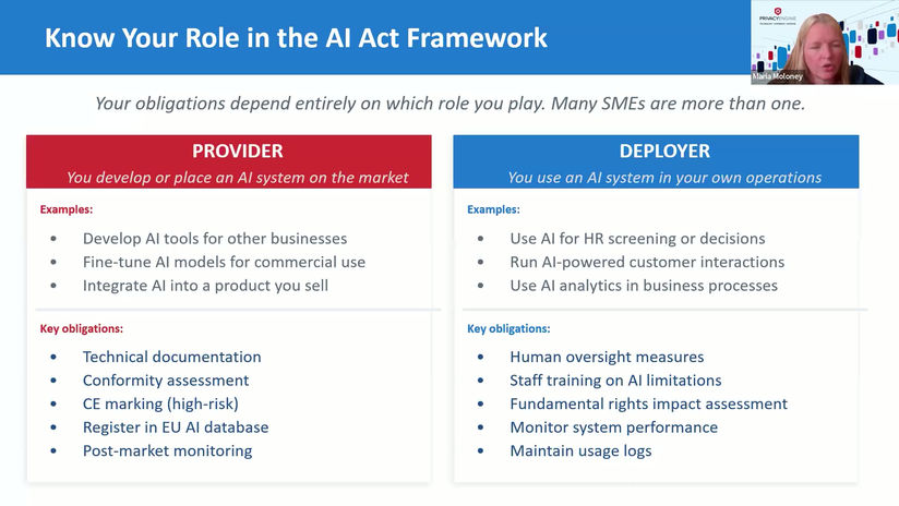 The EU AI Act - Part 2